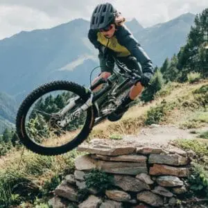 E-MTB Fully