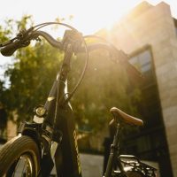 gepida márkaoldal különlegesség